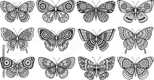 Hand drawn butterfly line art icons set with detailed wings, decorative patterns, and elegant insect outline designs
