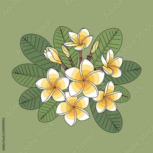 Yellow Plumeria Flowers with Leaves