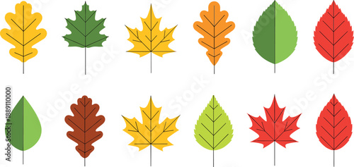 Hand drawn colorful autumn leaf icons set with maple, oak, and seasonal fall nature decoration elements
