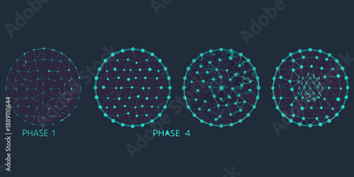 Four phases of network growth visualized as interconnected circular structures