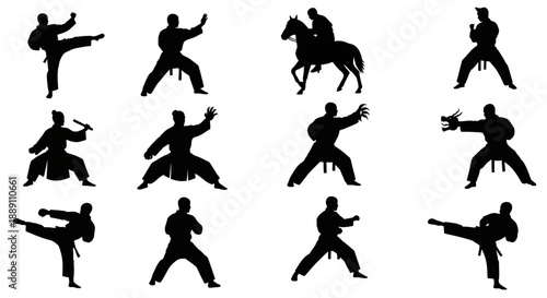 Martial Arts Silhouettes Vector Set: Karate, Kung Fu, Taekwondo, Judo, Horseback Riding, isolated on white
