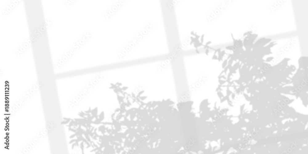 Naklejka premium Shadow overlaying of tree branches leaf and window on wall, summer abstract sunlight