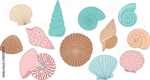 Pastel Seashell Collection Illustration Hand Drawn Marine Shells Set Isolated on White Background
