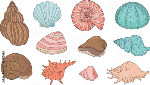 Cute Seashells Collection Cartoon Style with Conch, Scallop, Spiral Shells and Sea Snail Illustrations for Summer Designs
