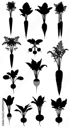 Root vegetables black silhouette vector set: carrots, radishes, beets with leaves, isolated on white