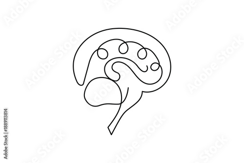 Continuous one  line drawing of a human brain on white background