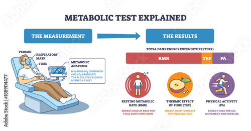 Metabolic test overview shows patient with respiratory mask, analyzer screen, and TDEE breakdown (RMR, TEF, PA) to explain energy expenditure flow. Outline diagram