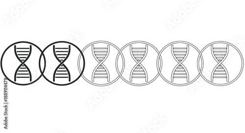 A linear arrangement of six circular diagrams depicting the double helix structure of dna molecules