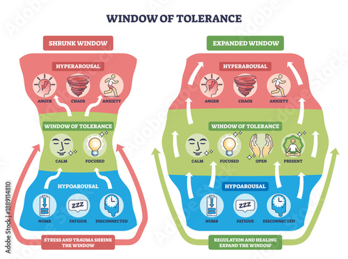 Window of tolerance brief outline shows hyperarousal, calm zone, and hypoarousal with arrows illustrating regulation between states. Outline diagram