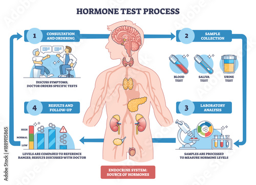 Hormone test process visualized as a step-by-step workflow, human body outline, test tubes, and microscope depict consultation, sample collection, lab analysis, results. Outline diagram