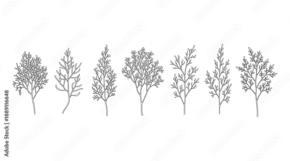 Fototapeta premium Vector illustration set of seven monochrome tree designs in horizontal lineup, showcasing diverse foliage patterns, branching structures, and artistic styles for botanical studies, landscape design, e