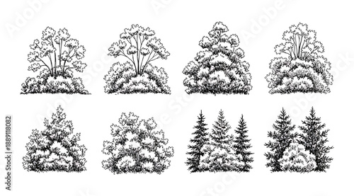Vector illustration set of eight black and white tree designs in two rows, showcasing diverse foliage patterns and artistic renderings of rounded and coniferous forms for botanical studies, landscape 