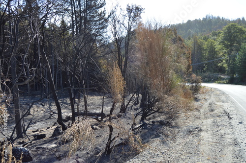 Incendio Epeyuen, Sur Argentino