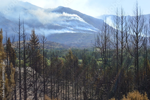 Incendio en bosque nativos, El Hoyo, Sur Argentina