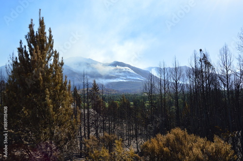 Incendio en bosque nativos, El Hoyo, Sur Argentina