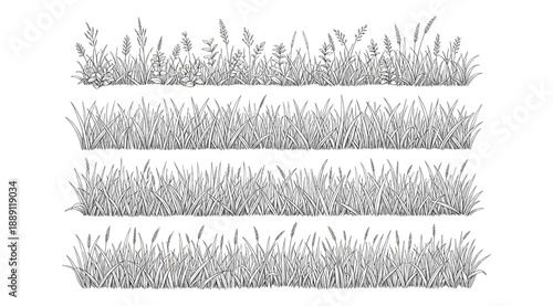 forest illustration, landscape vector, tree sketch, coniferous tree, deciduous tree, foliage art, nature drawing, black and white forest, botanical illustration, ecology art, landscape design, forest 