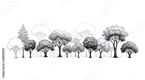 Vector illustration of diverse stylized trees arranged side by side, showcasing variations in shape, shading, and artistic rendering from detailed dark foliage to lighter abstract forms for botanical,