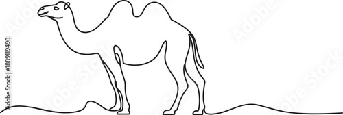 a-minimalist-line-drawing-of-a-dromedary_-oS2t8OJR5yVYVj8FfaaxA__RwB6xOaRpGvSWGHsIVkaw_traced