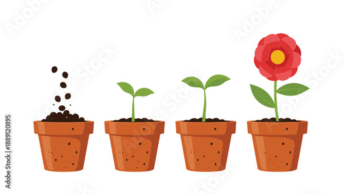 Sequence of images depicts the growth cycle of a flower starting from seeds in a terracotta pot to a fully blooming red blossom.