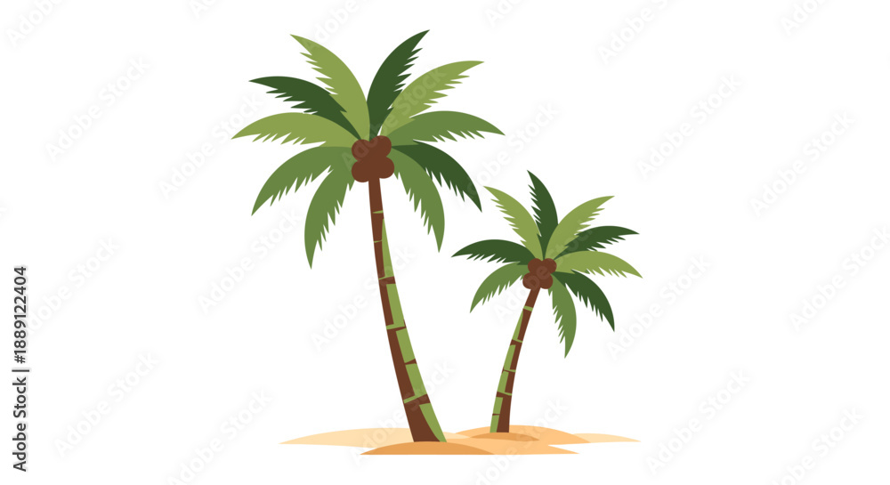 Obraz premium palm tree on white background