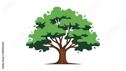 Majestic green tree with a wide canopy of dense foliage and multiple branches shown as a single central icon on a plain white background.