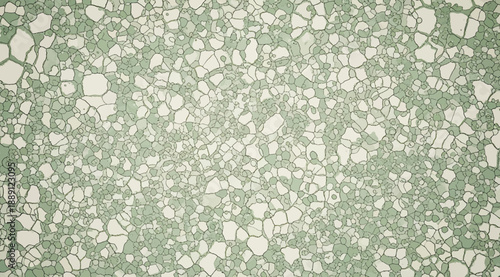 Vector illustration of terrazzo‑style speckled pattern with muted green background and irregular white mosaic shapes, creating decorative textured design for interior surfaces, materials science, ecol