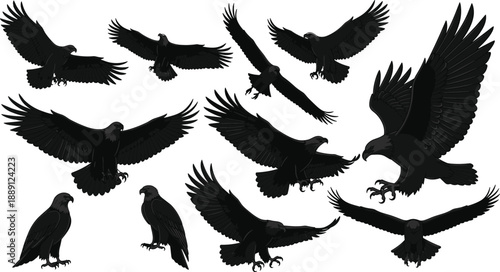 Black silhouette eagle icon set showing flying, landing, and standing raptor poses with spread wings isolated on white background vector illustration