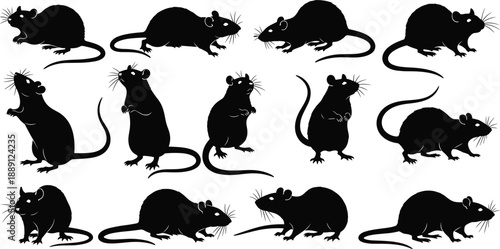 Black silhouette rat and mouse icon set showing rodents in walking, standing, and crouching poses isolated on white background vector illustration