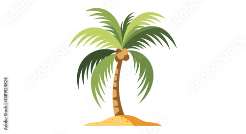 palm tree vector illustration