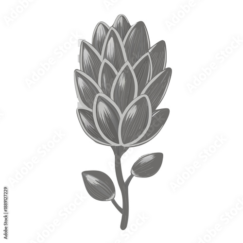 A grayscale illustration of a stylized artichoke flower on a black background