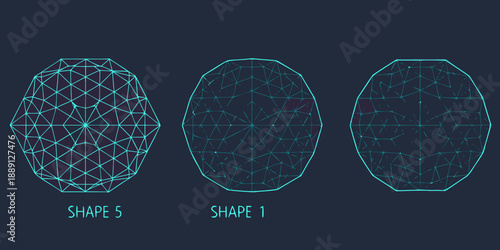 Three polygonal shapes resembling eggs labeled shape 5 1 and unlabeled