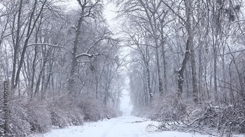 Wallpaper Mural Beautiful empty snowy road in winter park with frozen ice covered trees Torontodigital.ca