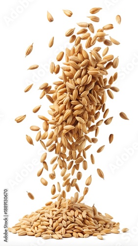 Numerous golden unhusked rice grains falling dynamically and accumulating into a neat pile on a crisp white background
