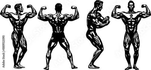vector silhouettes of a bodybuilder in different poses