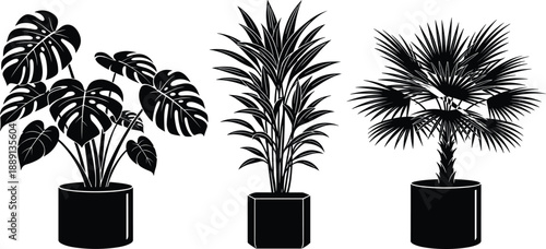 Potted indoor tropical houseplant vector silhouettes featuring monstera and palm trees, home garden decor collection