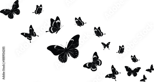 Black and white butterfly silhouettes set with wings spread for spring nature background