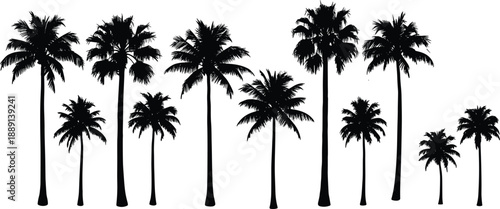 Palm tree silhouette collection, tropical beach trees, black vector icons, summer nature elements, flat vector illustration, exotic landscape design