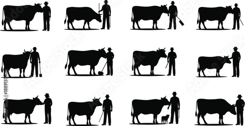 Farmer with cow silhouettes, livestock care, rural life scenes, farming tools, animal interaction, agriculture concept, flat vector illustration