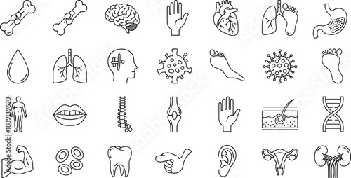 Human biology icon set showing anatomical and cellular elements including organs, DNA, virus, and body parts, flat vector illustration