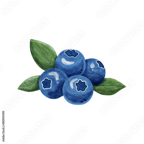 watercolor illustration of blueberries with leaves on white background