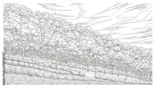 Seamless transparent background with fog and mist overlay texture for photo editing design elements, vapor cloud, water effect, smoke isolated template.