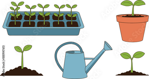 Set of 5 gardening seedlings flat illustration sprout in soil seedling tray potted plant and watering can
