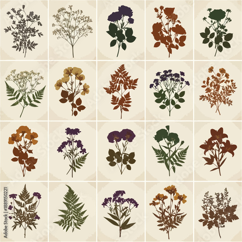 Vintage botanical vector silhouettes, various flowers and plants, brown, green, purple, orange, isolated on white
