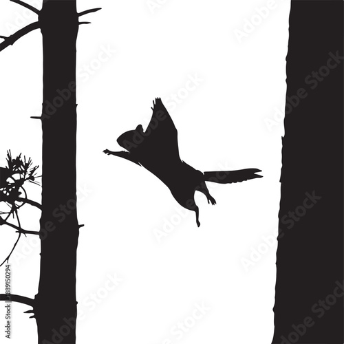 Black silhouette of a flying squirrel gliding between trees flying squirrel silhouette forest scene