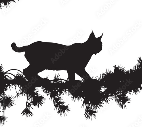 Black silhouette of a lynx walking on pine branches against white background bobcat wild cat feline