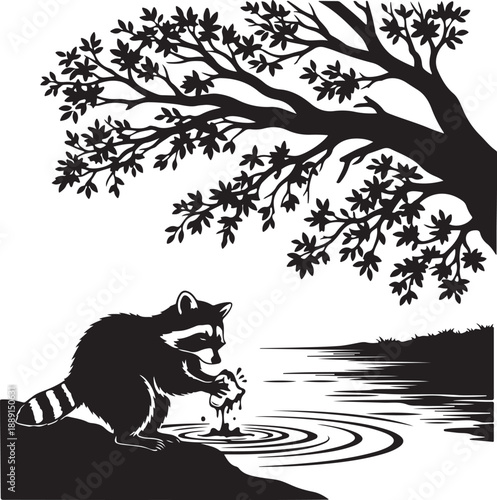 Black silhouette of a raccoon washing food in water under a tree animal wildlife nature