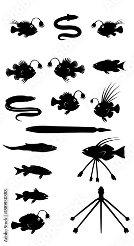Deep sea fish vector silhouettes set, anglerfish, moray eel, squid, and other marine creatures isolated on white