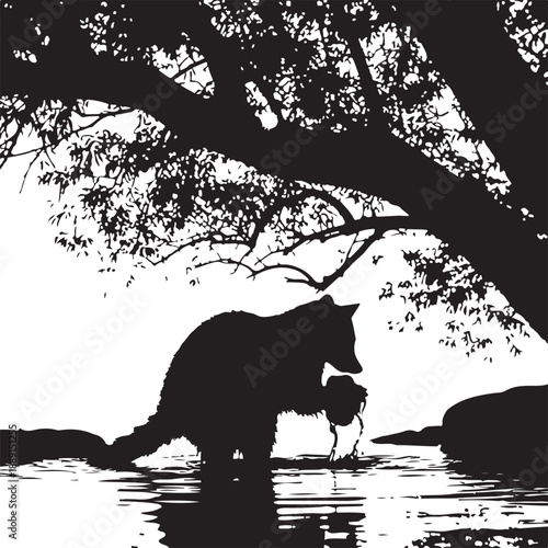 Silhouette of a raccoon reaching into water under a tree raccoon silhouette animal nature des