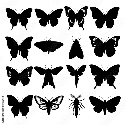 Black Silhouette Vector Set of Wine Bottles, Decanters, and Glasses