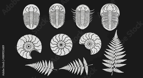 Black Silhouette Vector Set of Wine Bottles, Decanters, and Glasses